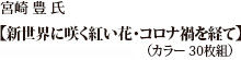 宮崎 豊 氏「新世界に咲く紅い花・コロナ禍を経て」 カラー30枚組
